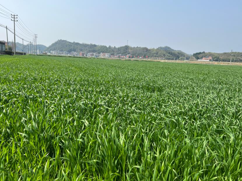 交城现代农业发展服务中心一行检修农机下基层 护航春耕促丰收