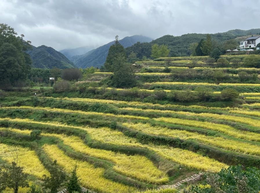 加快推動(dòng)農(nóng)機(jī)裝備電動(dòng)化、智能化發(fā)展！福建省印發(fā)農(nóng)機(jī)裝備高質(zhì)量發(fā)展三年實(shí)施方案